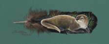 Riverbank Repose