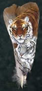 Tiger Mates