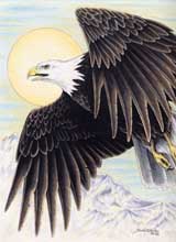 Skylord 