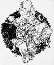 Buffalo Spirit Shield